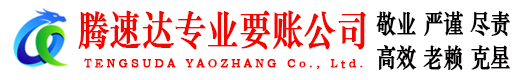 东湖腾速达追账公司